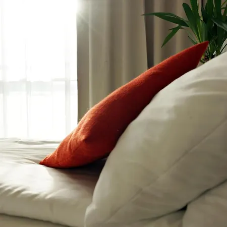 Hotel Forza