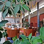 Forza Познань