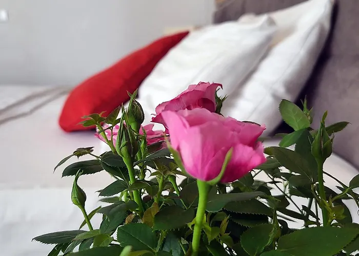 Forza Hotell Poznań